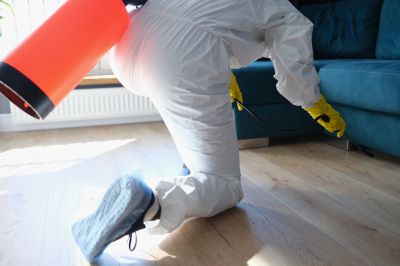 Commercial Fumigation in Phoenix, AZ